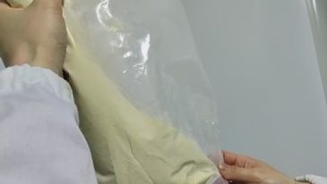 40% Sunflower PC Phosphatidyl Choline
