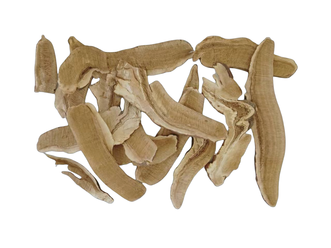 Chinese Yam (Dioscorea Opposita) - Nature's Nourishing Root