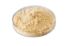 Fava Bean Protein
