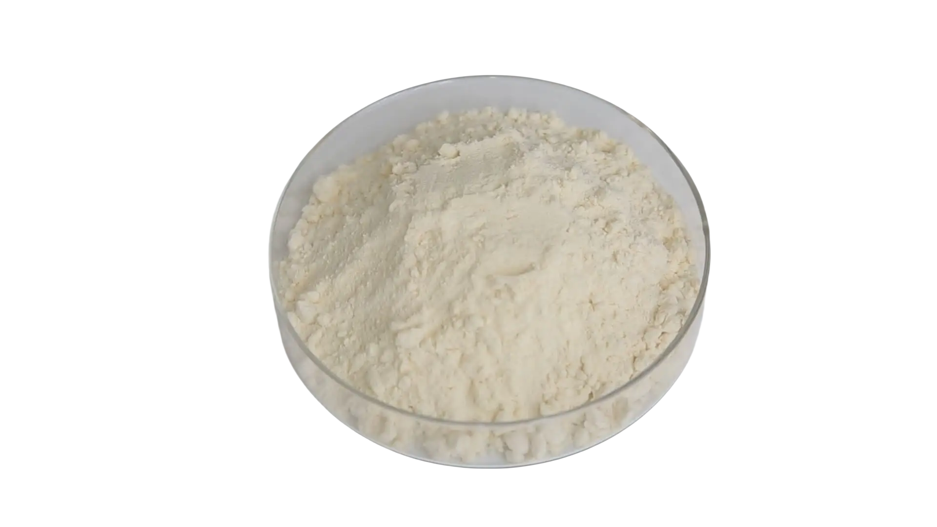 Enzymatic Rice Protein