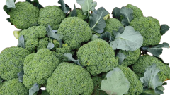 Sulforaphane 0.1% - 98% & Glucoraphanin 0.1% -15% Compound Glucoraphanin 10% With Moringa Myrosinase Enzeme Liposomals CO-Loading Liposomals Brassica Oleracea Italica Sprout Seeds Extract Powder Sulforaphane Oil Best Price Broccoli Extract High Quality
