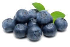 Blueberry Fruit Extract