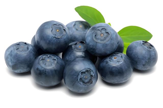 Blueberry Fruit Extract