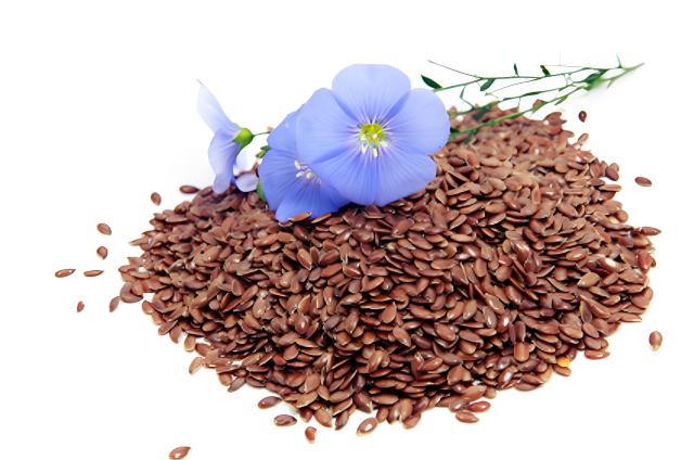 Flax Seed Extract