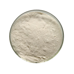 TBHQ (Tertiary Butylhydroquinone)