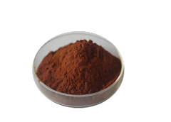 Premium Cinnamon Bark Extract (10%-40% Polyphenols) | Blood Sugar & Metabolic Support | Manufacturer Direct