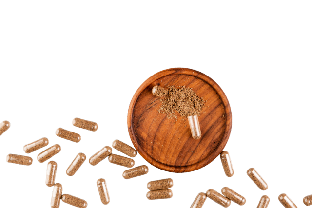 Granules Panax Ginseng Extract (10% Ginsenosides)