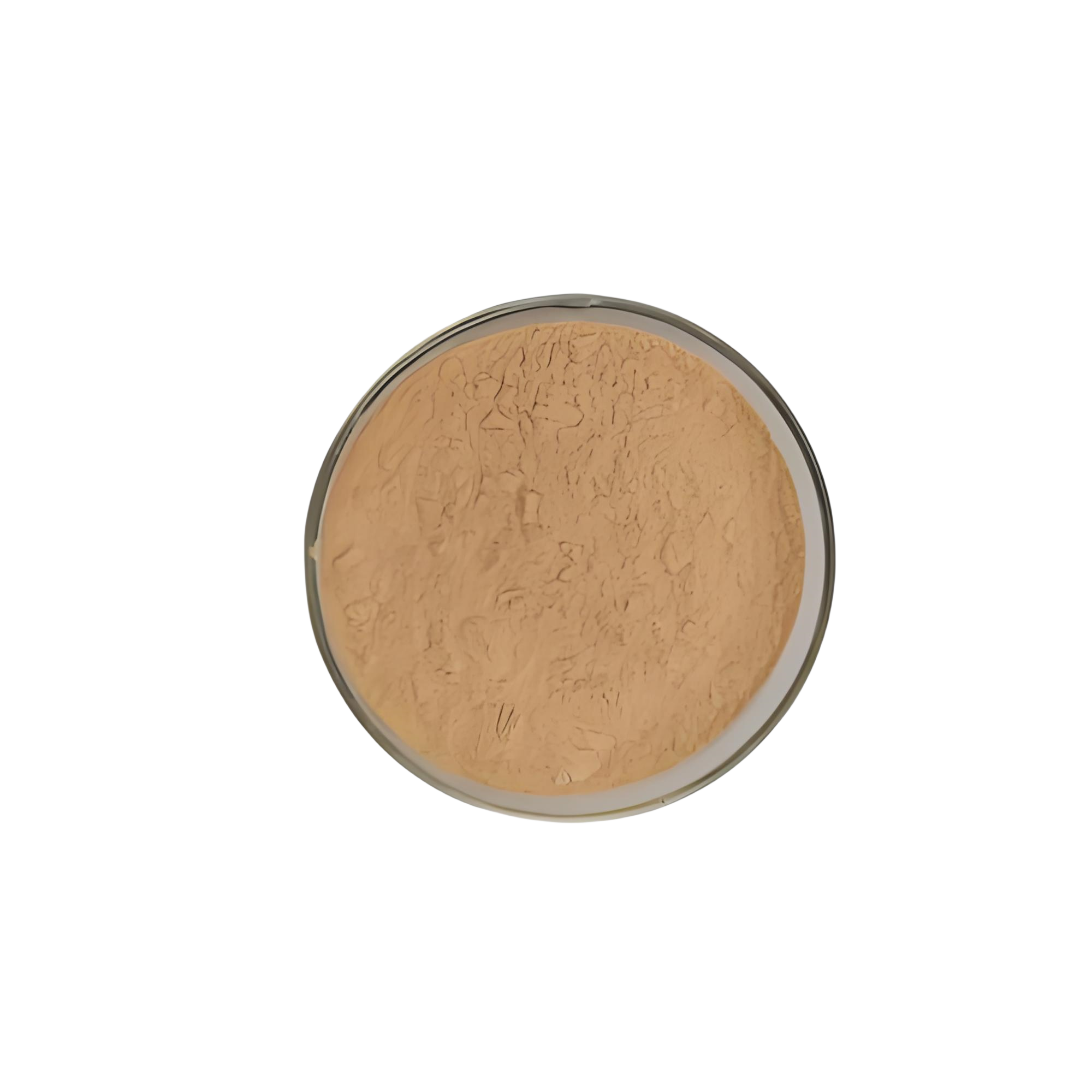 Milk Thistle Extract (Silymarin 30%-90% 80% HPLC/UV) | Silybin A+B 50%-90% | EU/US Compliant | Manufacturer Direct