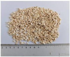 Chinese Yam (Dioscorea Opposita) - Nature's Nourishing Root