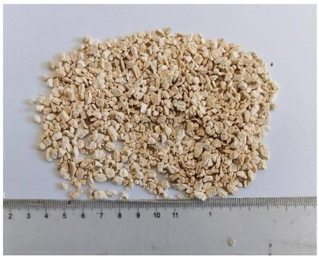 Chinese Yam (Dioscorea Opposita) - Nature's Nourishing Root