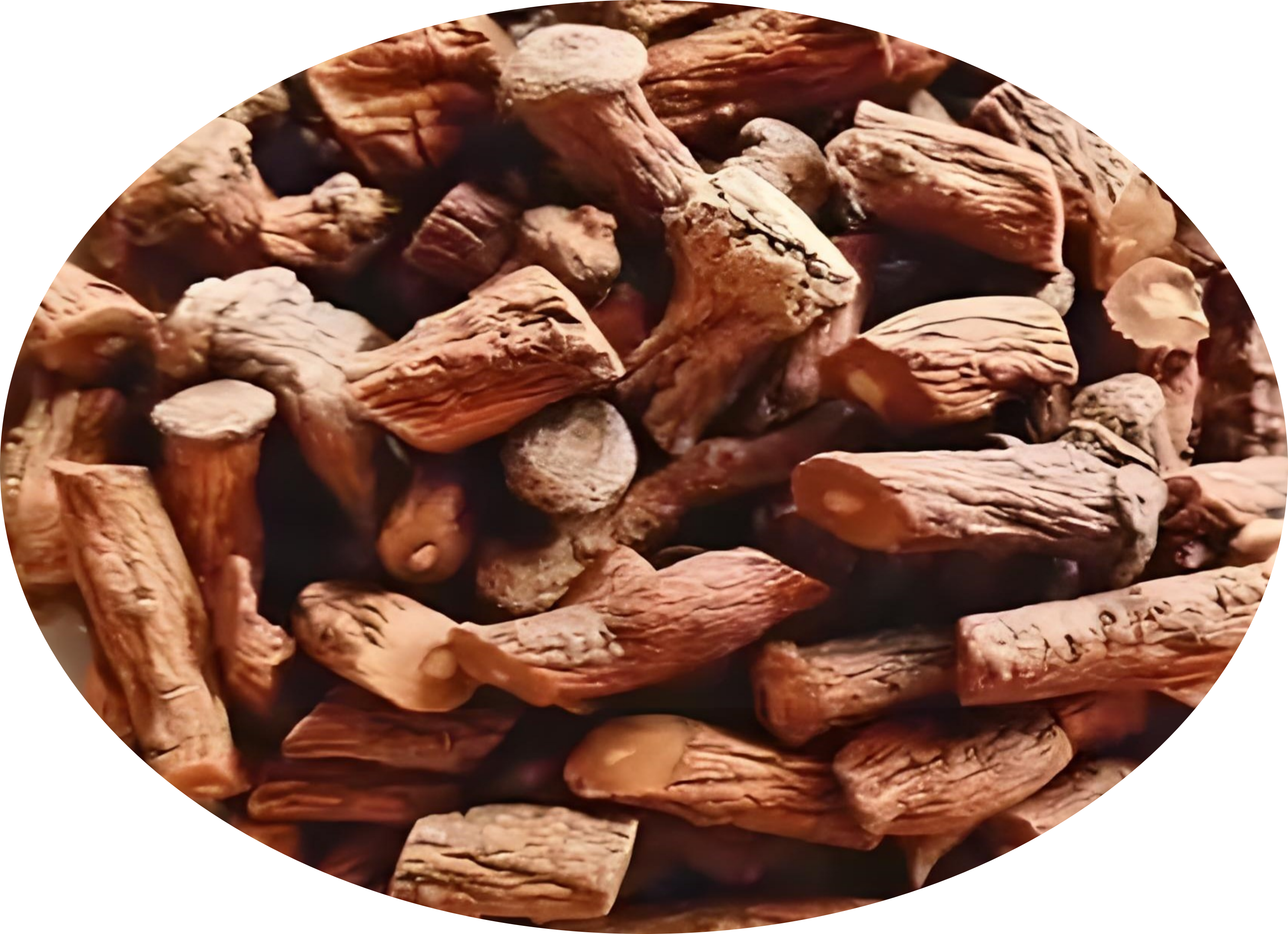 Dandelion Root Leaf Tea Whole Cut Powder