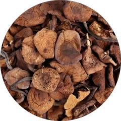 Hazel Mushroom Whole Slices Powder