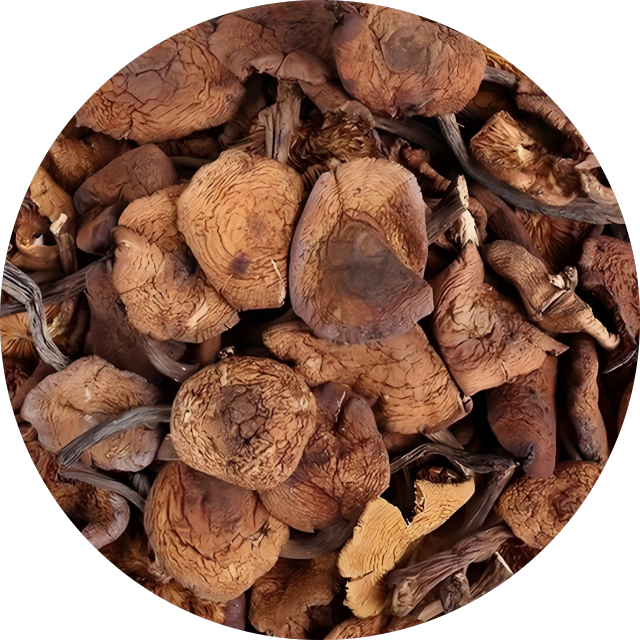 Hazel Mushroom Whole Slices Powder