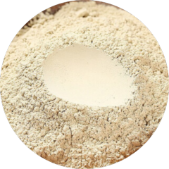 Panax Notoginseng powder