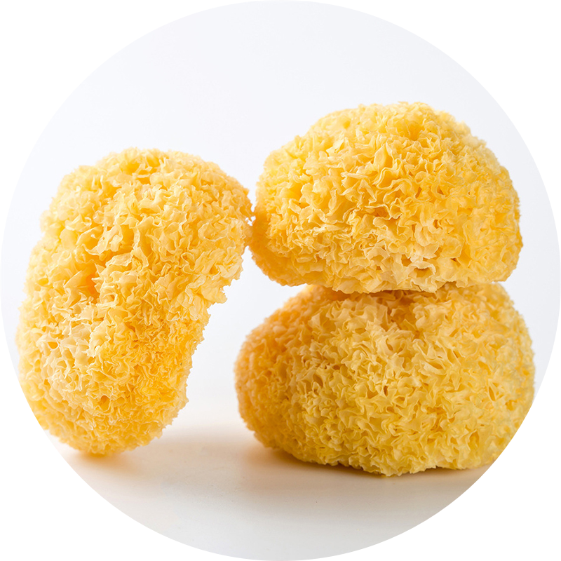 Tremella Whole Sliced Powder Mushroom