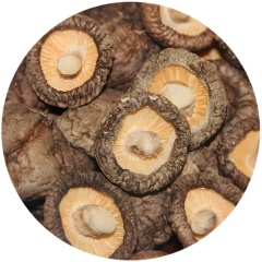 Shiitake mushroom Whole Diced Chopped Powder