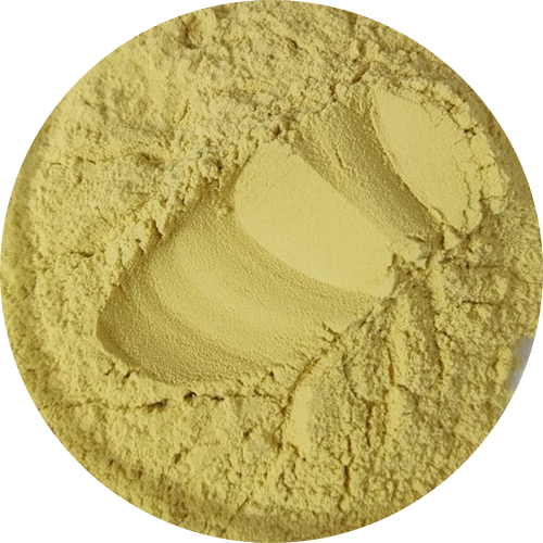 High-Potency Ginger Root Extract (1%-20% Gingerols) | Digestive & Anti-Inflammatory Support | Manufacturer Direct