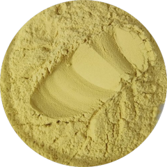 High-Potency Ginger Root Extract (1%-20% Gingerols) | Digestive & Anti-Inflammatory Support | Manufacturer Direct