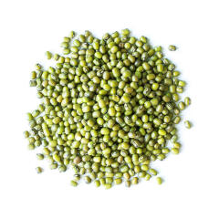 Mung Bean Protein