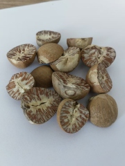 Areca Cut Betel Nut Slices