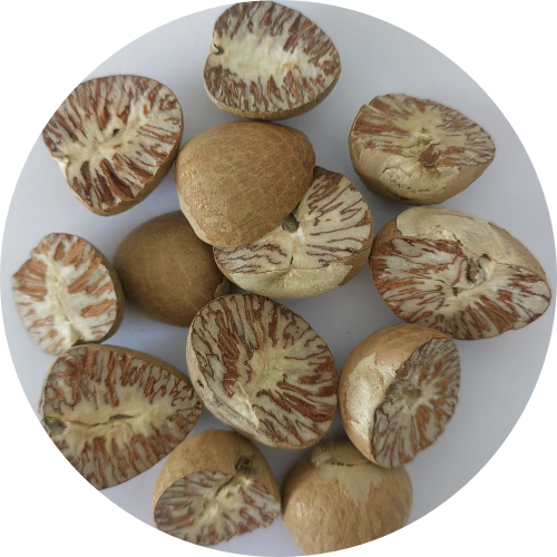 Areca Cut Betel Nut Slices