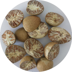 Areca Cut Betel Nut Slices