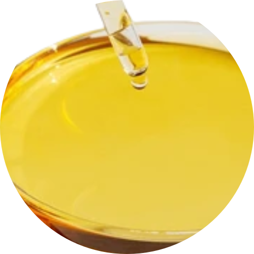 Vegan Vitamin D3 Oil (≥1,000,000 IU/g) - Lichen & Pine Sources
