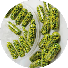 Premium Micropellet OEM - The Future of Sustained-Release Nutraceuticals