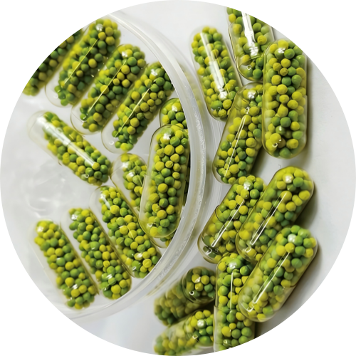 Premium Micropellet OEM - The Future of Sustained-Release Nutraceuticals
