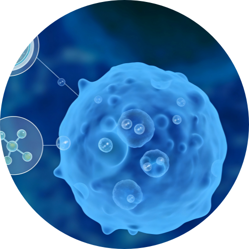 Plant-Derived Exosome Technology - Higher Technology Than Liposomals - The Next Frontier in Bioactive Delivery