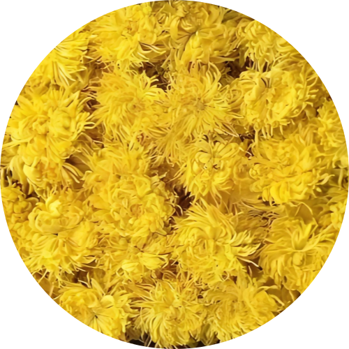 Chrysanthemum Petals Tea Dried Whole Powder