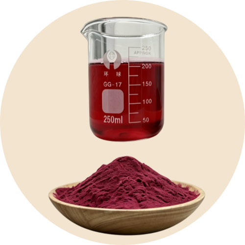 Red Bayberry Powder The Exotic Superfruit