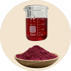 Red Bayberry Powder The Exotic Superfruit