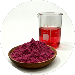 Cranberry Powder – Nature’s Tart Superfood Powerhouse