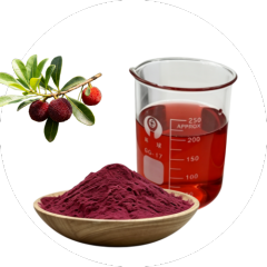 Red Bayberry Powder The Exotic Superfruit