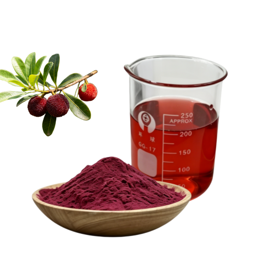 Red Bayberry Powder The Exotic Superfruit