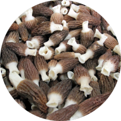 Morel Mushroom Whole Chopped Powder