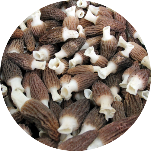 Morel Mushroom Whole Chopped Powder