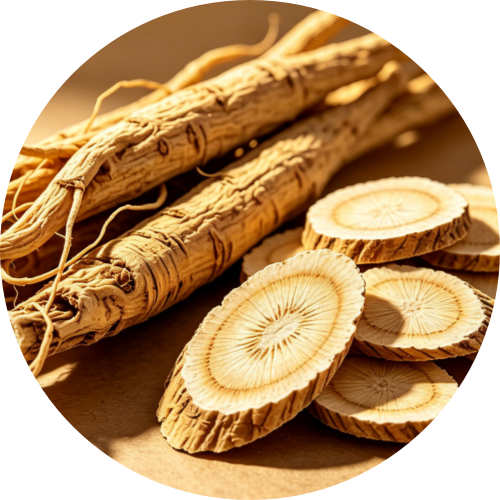 Premium Astragalus Root - Whole & Sliced | Trusted Supplier Since 2005