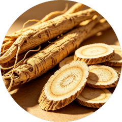 Premium Astragalus Root - Whole & Sliced | Trusted Supplier Since 2005