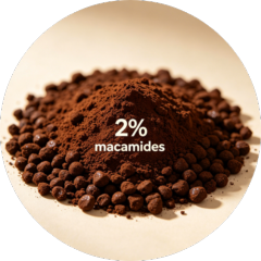 Granules Maca Extract (2% Macamides)