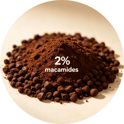 Granules Maca Extract (2% Macamides)