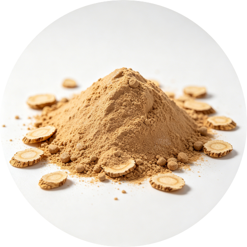 Granules Panax Ginseng Extract (10% Ginsenosides)