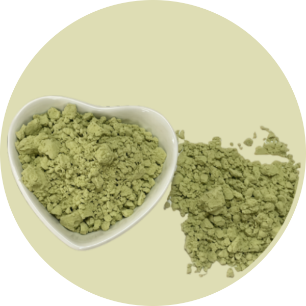Avocado Powder – Nature’s Creamy Superfood Powerhouse