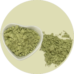 Avocado Powder – Nature’s Creamy Superfood Powerhouse