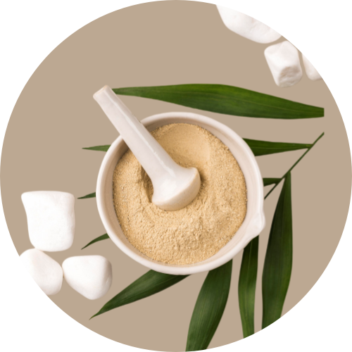 Granules White Willow Bark Extract (15% Salicin)