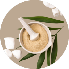 Granules White Willow Bark Extract (15% Salicin)
