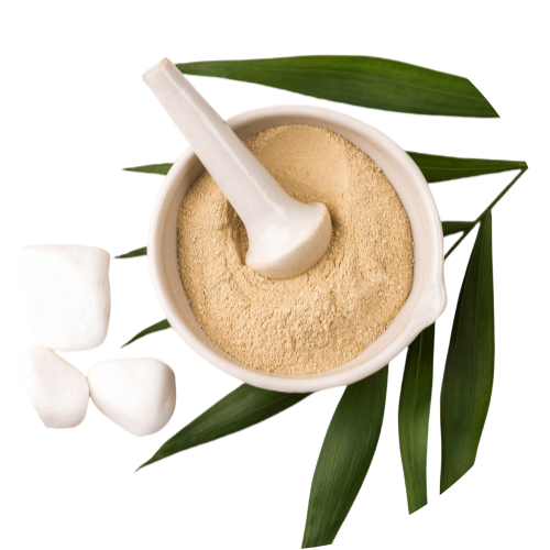 Granules White Willow Bark Extract (15% Salicin)