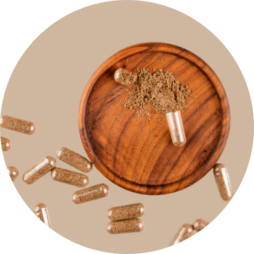 Granules Milk Thistle Extract (80% Silymarin)