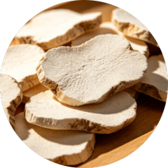 Poria Cocos Slices - Nature's Treasured Fungus